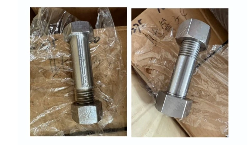 hinged bolt2 hinged bolt2